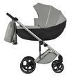 Коляска для новорожденных 2 в 1 Anex Mev МО-03 Kite