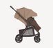 Коляска прогулянкова Anex Ride RD-02 Warmly (Анекс Райд)