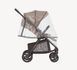 Коляска прогулянкова Anex Ride RD-02 Warmly (Анекс Райд)