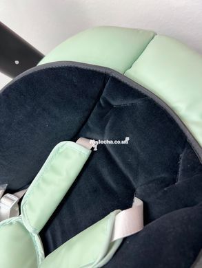 Стульчик-качели 3 в 1 CARRELLO Cascata (Каррелло Каската) CRL-10303/1 Tropical Green Укачивающий центр