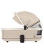 Коляска универсальная CARRELLO Vector (Каррелло Вектор) CRL-6550 2в1 Seashell Beige /1