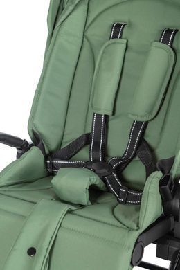Прогулочная коляска CARRELLO Alfa модель CRL-5508 Sea Green BF (Каррелло Альфа) поворотный, реверсивный блок