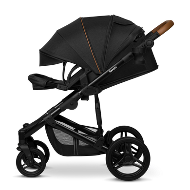 Универсальная коляска 2 в 1 Lionelo MARI TOUR BLACK ONYX