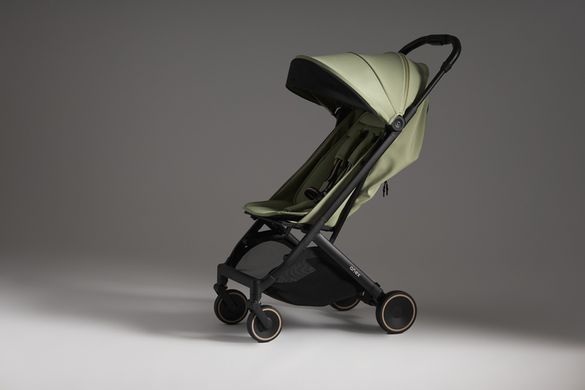 Коляска прогулянкова Anex Air-X&sup2; AX2-03 Vert (Анекс Аир-X&sup2;)