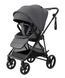 Прогулочная коляска Carrello Extra CRL-6532 Chrome Grey (Каррелло Экстра)