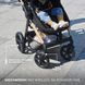 Универсальная коляска 3 в 1 Kinderkraft Moov 2 Sand Beige (KSMOOV02BEGEV00)