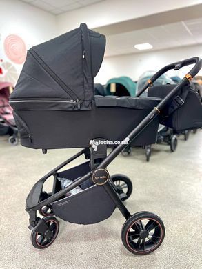 Коляска універсальна CARRELLO Epica (Каррелло Епіка) CRL-8510/1 (2in1) Space Black