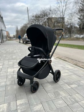 Коляска універсальна CARRELLO Epica (Каррелло Епіка) CRL-8510/1 (2in1) Space Black