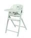 Стульчик для кормления 3в1 CARRELLO Tenero CRL-9507 Elysium Green с функцией шезлонга