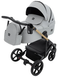 Коляска 2 в 1 Bair Onyx ECO OE-14 світло-сірий