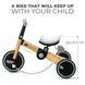 Трехколесный велосипед 3 в 1 Kinderkraft 4TRIKE Sunflower Blue (KR4TRI22BLU0000)