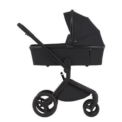 Коляска для новонароджених 2 в 1 Anex FLO (2IN1) FL-05 LUNGO