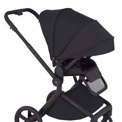 Коляска для новонароджених 2 в 1 Anex FLO (2IN1) FL-05 LUNGO