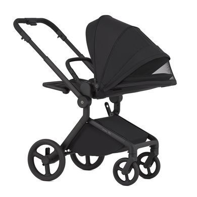 Коляска для новонароджених 2 в 1 Anex FLO (2IN1) FL-05 LUNGO