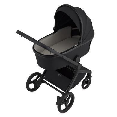 Коляска для новорожденных 2 в 1 Anex FLO (2IN1) FL-05 LUNGO