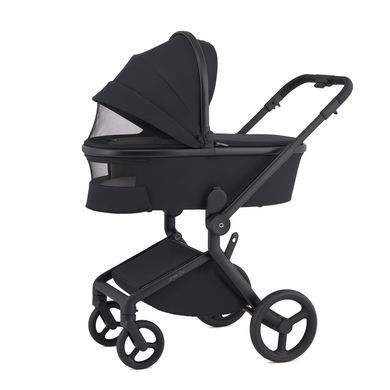 Коляска для новонароджених 2 в 1 Anex FLO (2IN1) FL-05 LUNGO