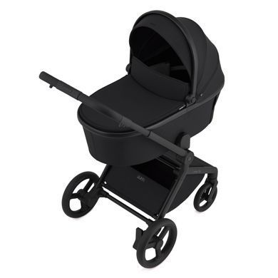 Коляска для новорожденных 2 в 1 Anex FLO (2IN1) FL-05 LUNGO