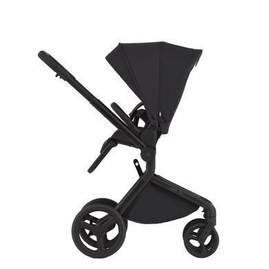 Коляска для новорожденных 2 в 1 Anex FLO (2IN1) FL-05 LUNGO