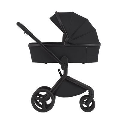 Коляска для новорожденных 2 в 1 Anex FLO (2IN1) FL-05 LUNGO