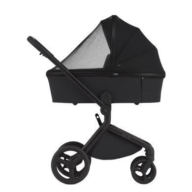 Коляска для новорожденных 2 в 1 Anex FLO (2IN1) FL-05 LUNGO