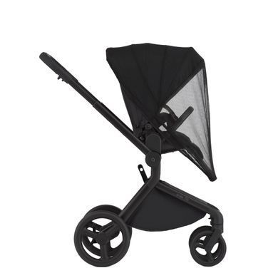 Коляска для новорожденных 2 в 1 Anex FLO (2IN1) FL-05 LUNGO