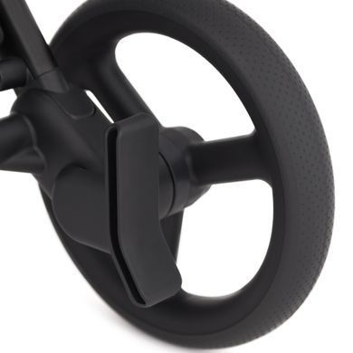 Коляска для новорожденных 2 в 1 Anex FLO (2IN1) FL-05 LUNGO