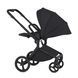 Коляска для новорожденных 2 в 1 Anex FLO (2IN1) FL-05 LUNGO