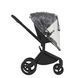 Коляска для новорожденных 2 в 1 Anex FLO (2IN1) FL-05 LUNGO