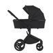 Коляска для новорожденных 2 в 1 Anex FLO (2IN1) FL-05 LUNGO