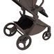 Коляска для новорожденных 2 в 1 Anex FLO (2IN1) FL-07 BROWNY