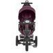 Триколісний велосипед El Camino Vector ME 1162-1 Purple