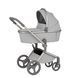 Коляска для новорожденных 2 в 1 Anex FLO (2IN1) FL-06 Frosy