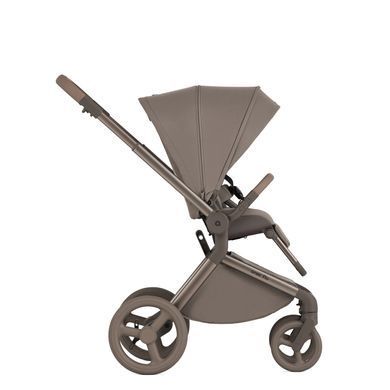 Коляска для новонароджених 2 в 1 Anex FLO (2IN1) FL-03 YUKI