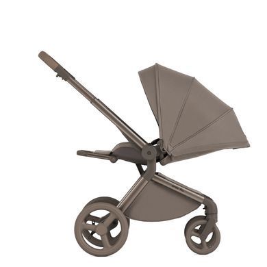 Коляска для новонароджених 2 в 1 Anex FLO (2IN1) FL-03 YUKI