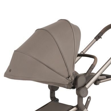Коляска для новорожденных 2 в 1 Anex FLO (2IN1) FL-03 YUKI