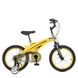 Велосипед двухколесный детский 16 дюймов WLN1639D-T-4