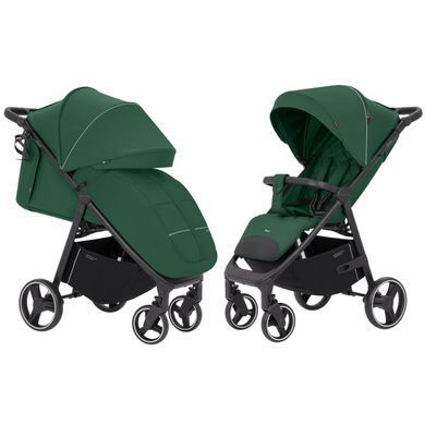Прогулянкова коляска CARRELLO Bravo CRL-8512 Spring Green (Каррелло Браво)