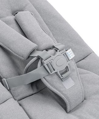 Стілець для годування CARRELLO Ergo CRL-16701 Carbon Grey