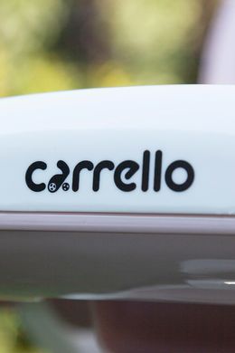 Стільчик для годування CARRELLO Stella (Каррелло Стелла) CRL-9503 Powder Pink