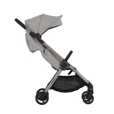 Коляска для новонароджених 2 в 1 Anex IQ Premium IQ-19 Silve