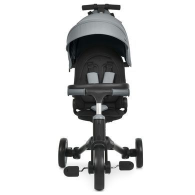 Триколісний велосипед El Camino TRIGO ME 1226 Frost Gray